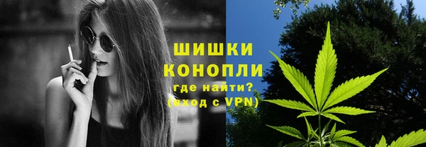 ПСИЛОЦИБИНОВЫЕ ГРИБЫ Балабаново