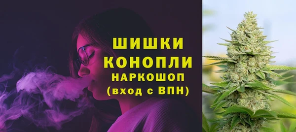 ПСИЛОЦИБИНОВЫЕ ГРИБЫ Балабаново