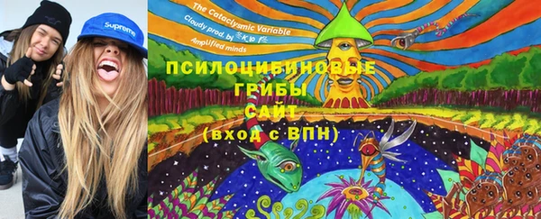 ПСИЛОЦИБИНОВЫЕ ГРИБЫ Балабаново
