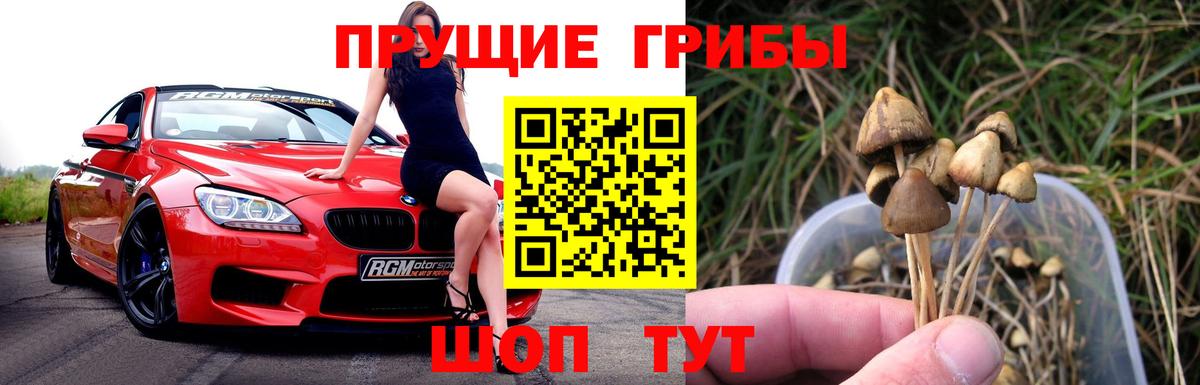 Семилуки  Псилоцибиновые грибы Magic Shrooms  Вход с VPN 